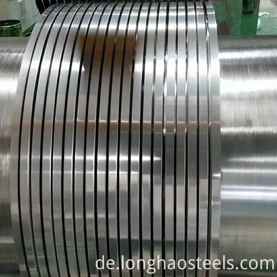 Stainless Steel Strip 